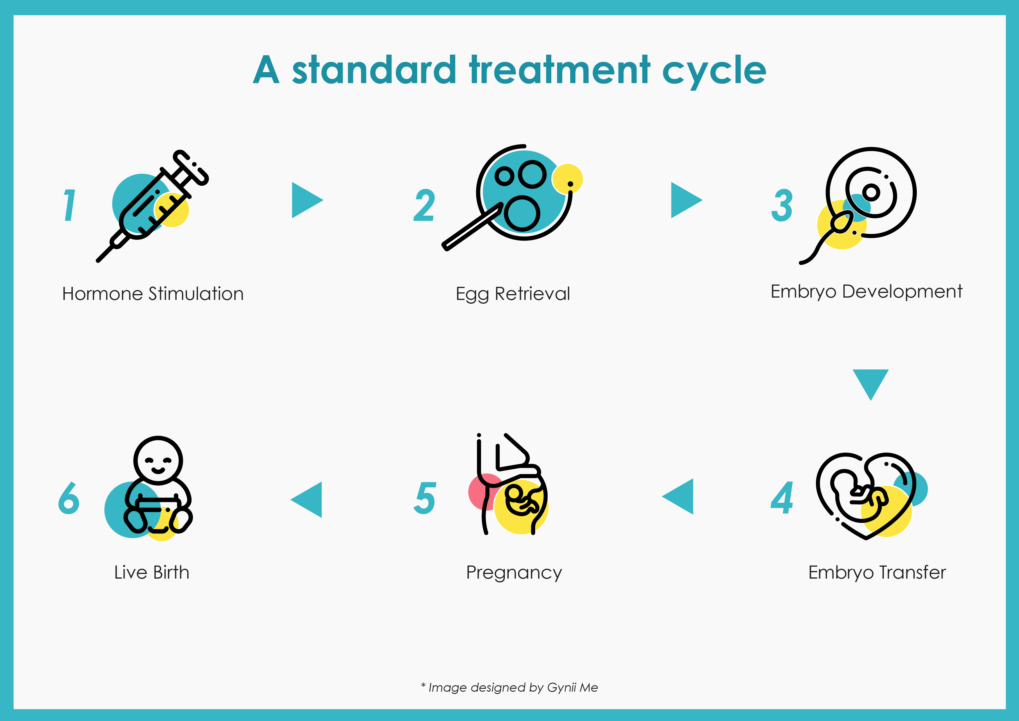 A standard IVF treatment cycle