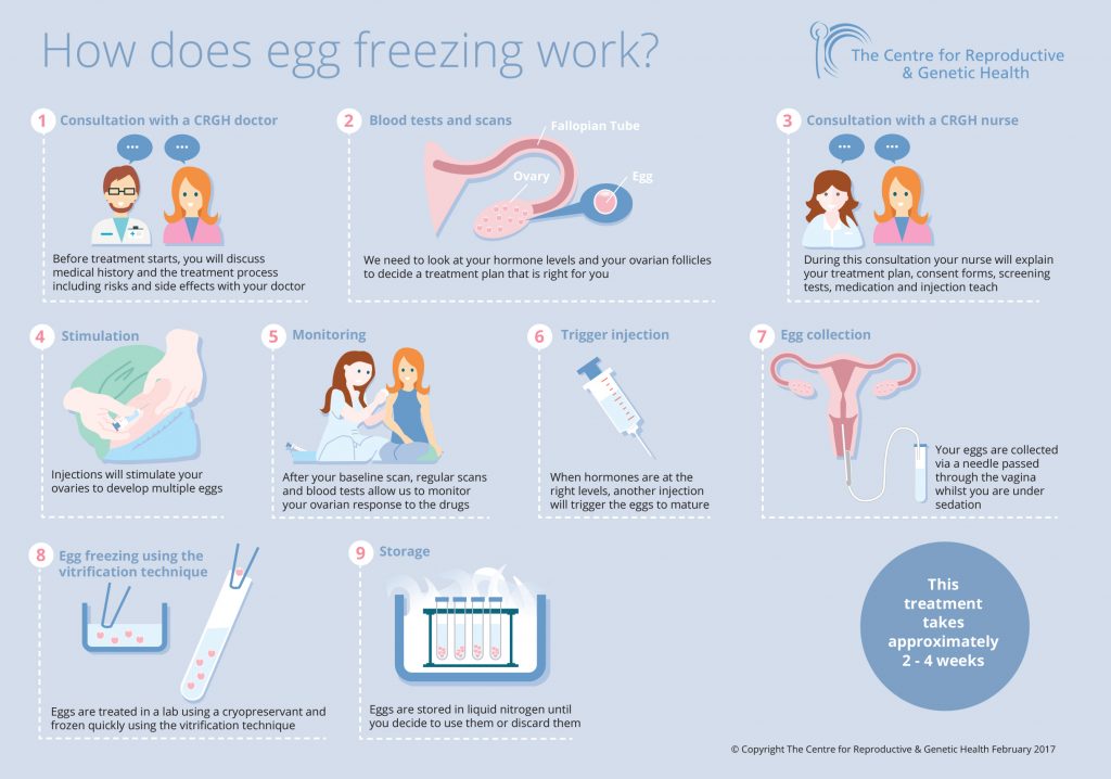 Egg freezing process