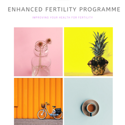 Enhanced Fertility Programme; Andreia Trigo inFertile Life.
